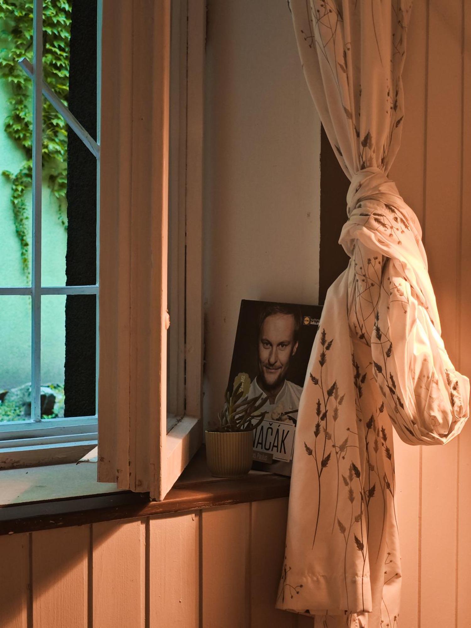 Vintage Room With Garden View Bratislava Buitenkant foto