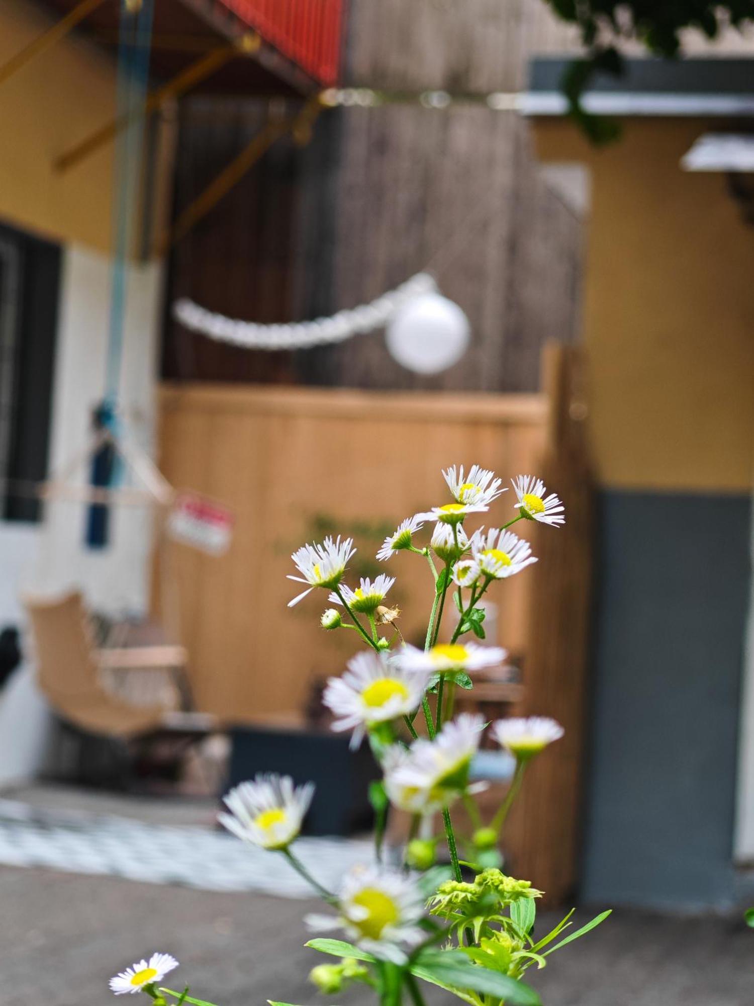 Vintage Room With Garden View Bratislava Buitenkant foto