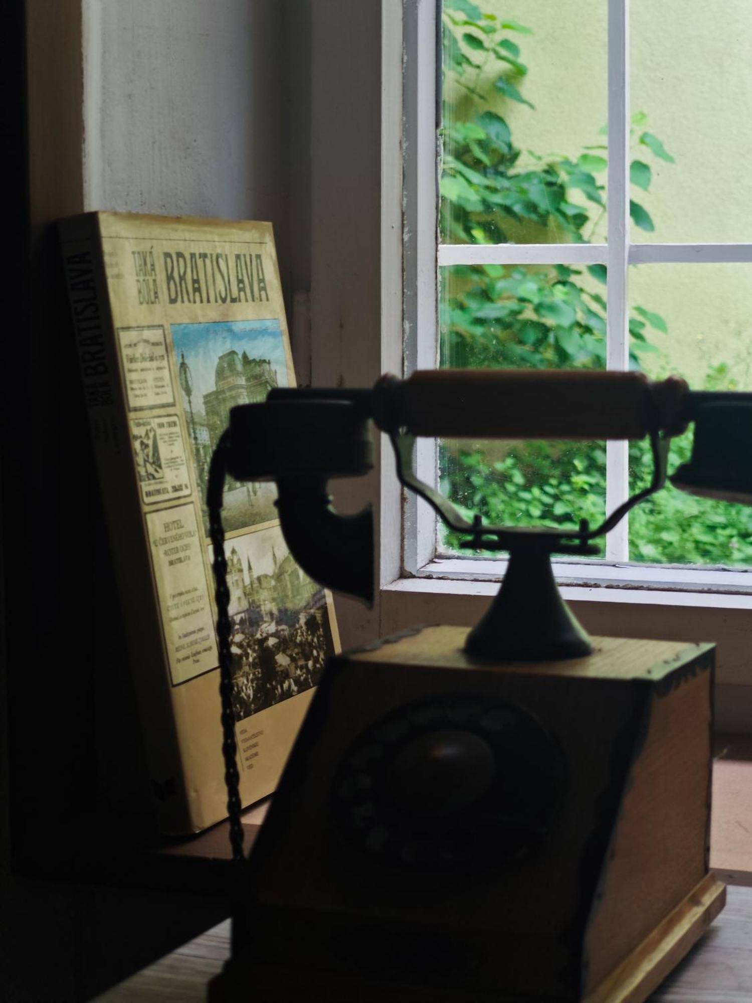 Vintage Room With Garden View Bratislava Buitenkant foto