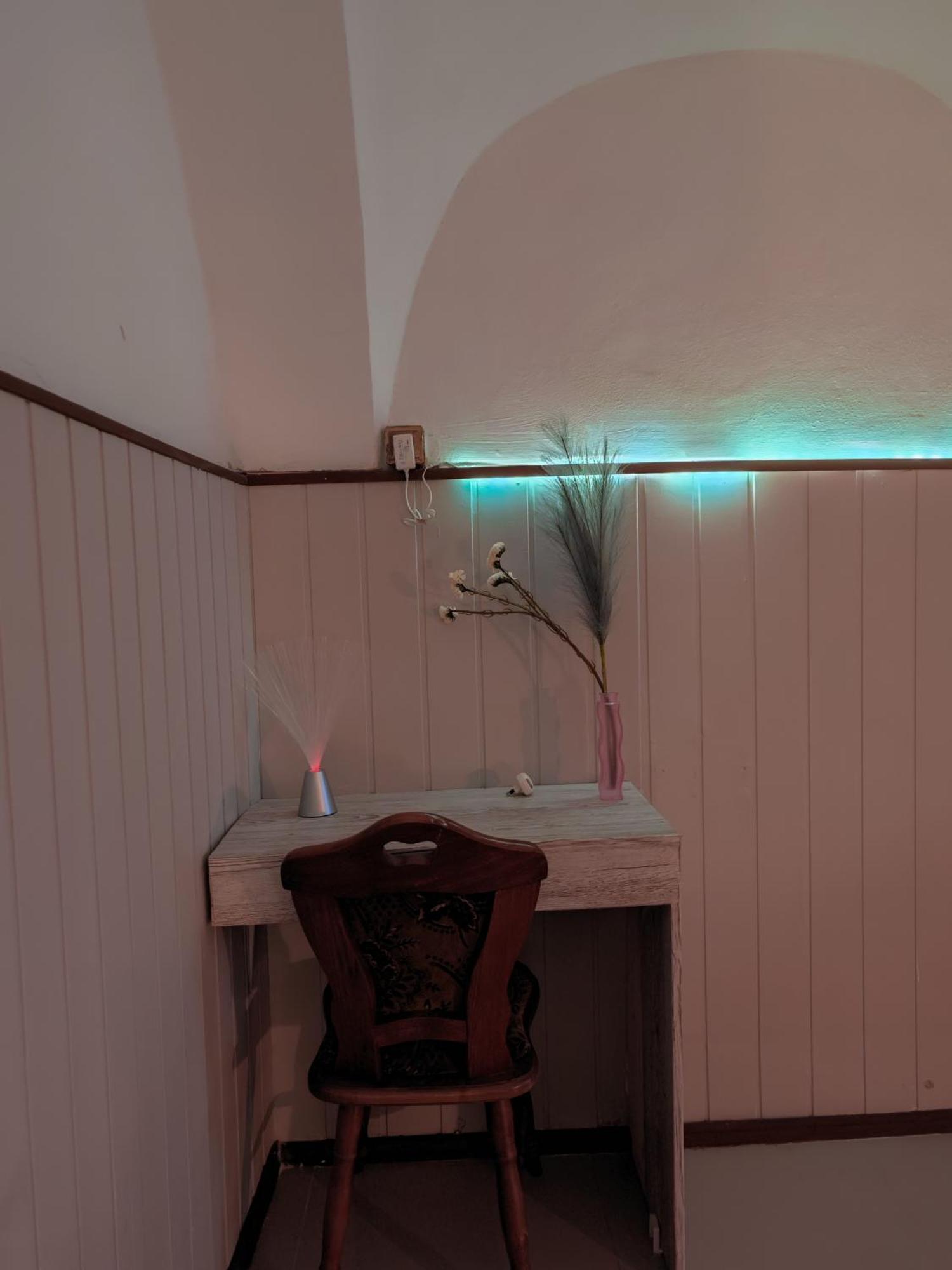 Vintage Room With Garden View Bratislava Buitenkant foto