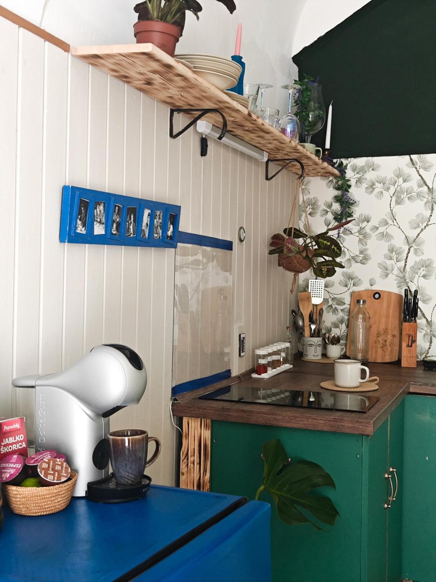 Vintage Room With Garden View Bratislava Buitenkant foto